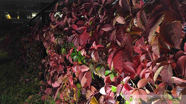 業(yè)界良心 LG V10 評(píng)測(cè):剛毅、冷峻，不失人性化