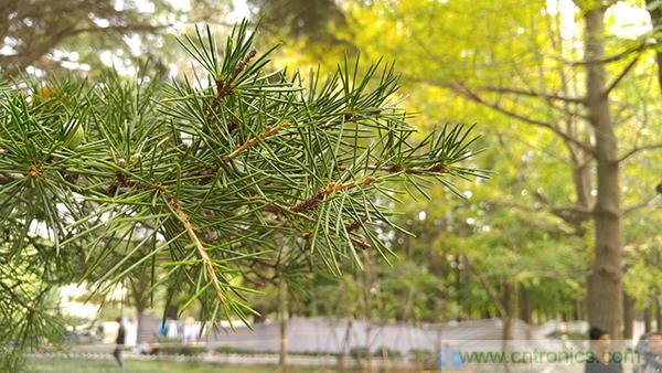 業(yè)界良心 LG V10 評(píng)測(cè):剛毅、冷峻，不失人性化