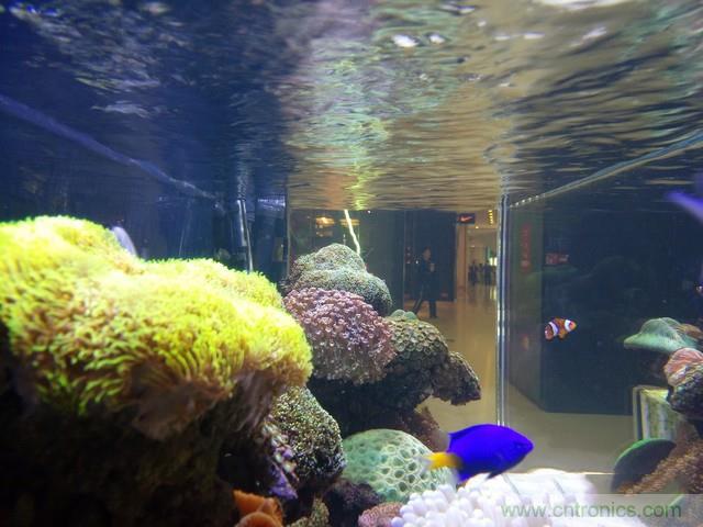 Hi-Fi革命！vivo X6 Plus深度評(píng)測(cè)：夠快才暢快