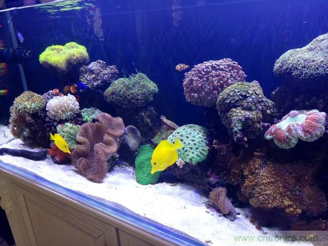 Hi-Fi革命！vivo X6 Plus深度評(píng)測(cè)：夠快才暢快