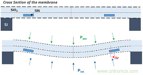 大腦神經探針？我看用MOM壓力傳感器蠻合適