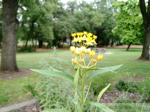 無數(shù)的拍攝，只為成就一個完美回憶