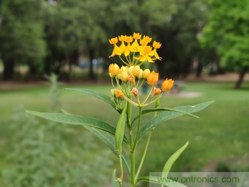 無數(shù)的拍攝，只為成就一個完美回憶