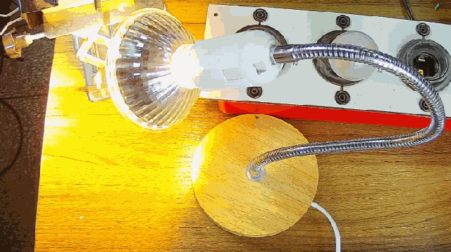 電燈泡內(nèi)通有交流電，為什么看不到燈泡在閃爍？