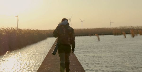 世界濕地日：海康威視攜手一個地球自然基金會，在上海守護(hù)這個重要“驛站”