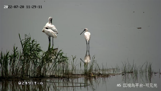 ?？低暟l(fā)布2022年ESG報(bào)告：科技為善，助力可持續(xù)的美好未來(lái)