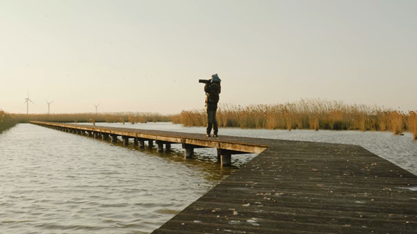 世界濕地日：?？低晹y手一個地球自然基金會，在上海守護(hù)這個重要“驛站”